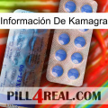 Información De Kamagra 40